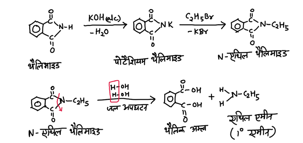 Gabriel pthailimide synthesis reaction